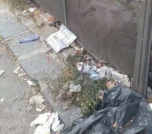 via comunale