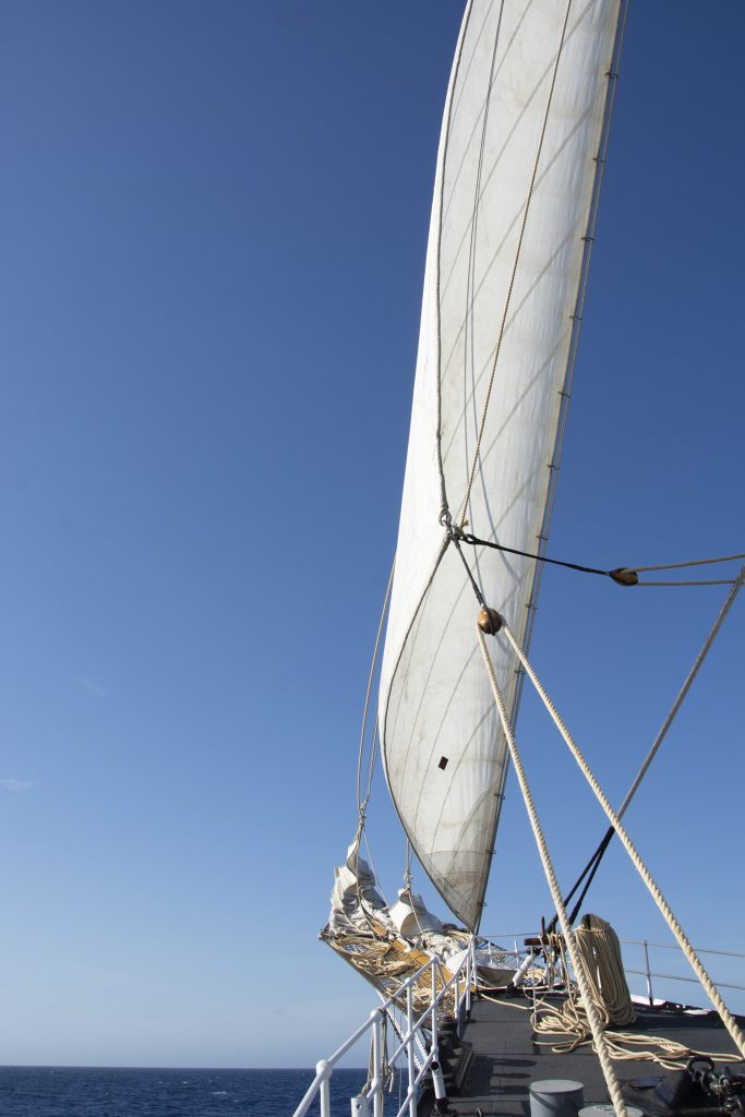 Nave Palinuro (10)