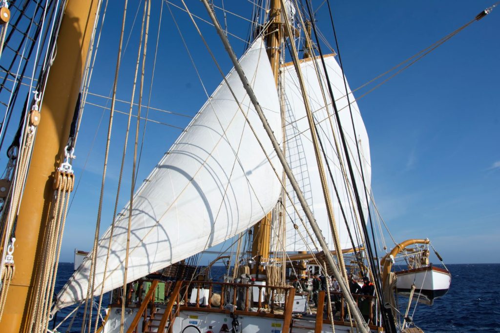 Nave Palinuro (12)