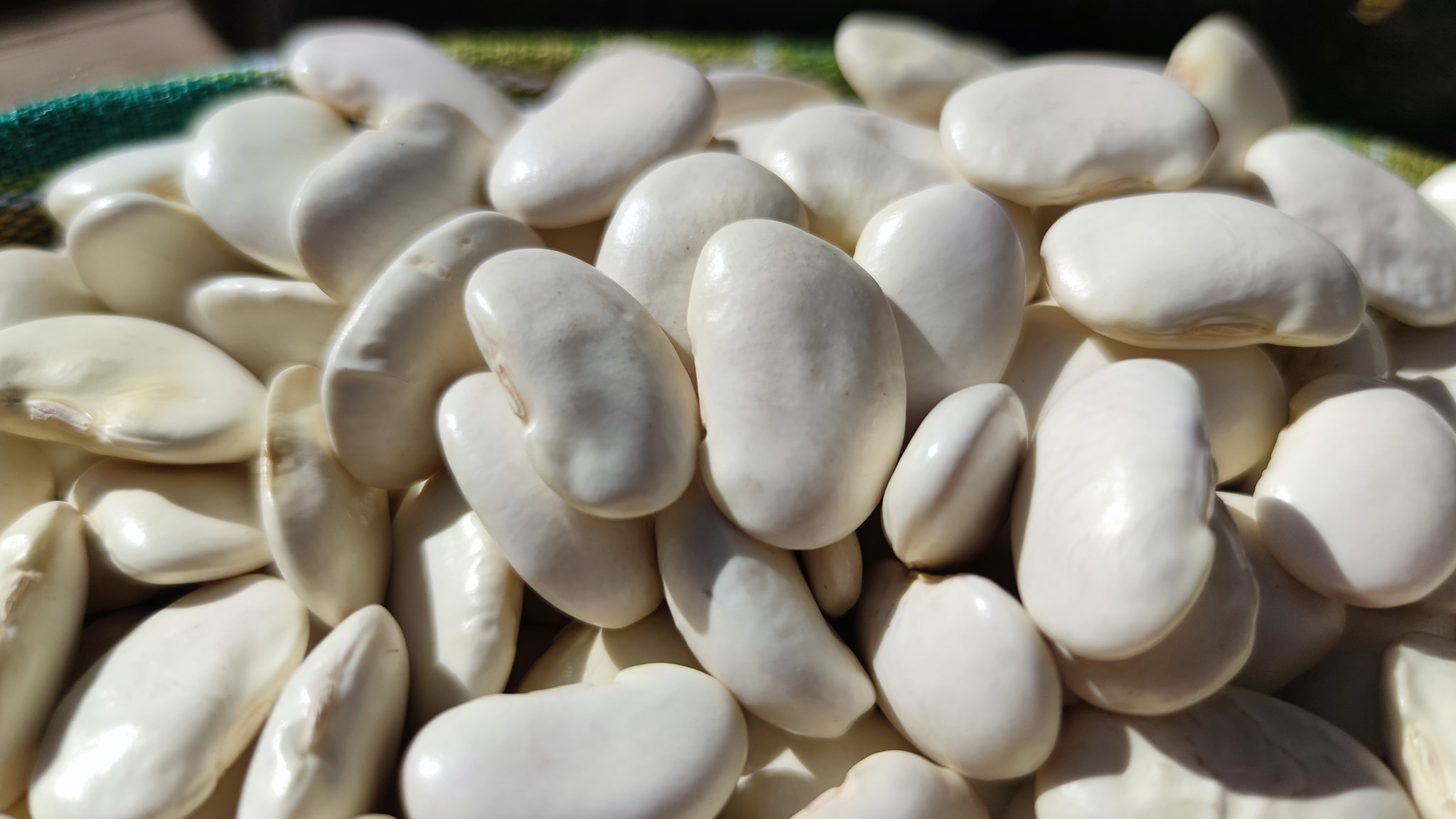 fagioli pappaluni