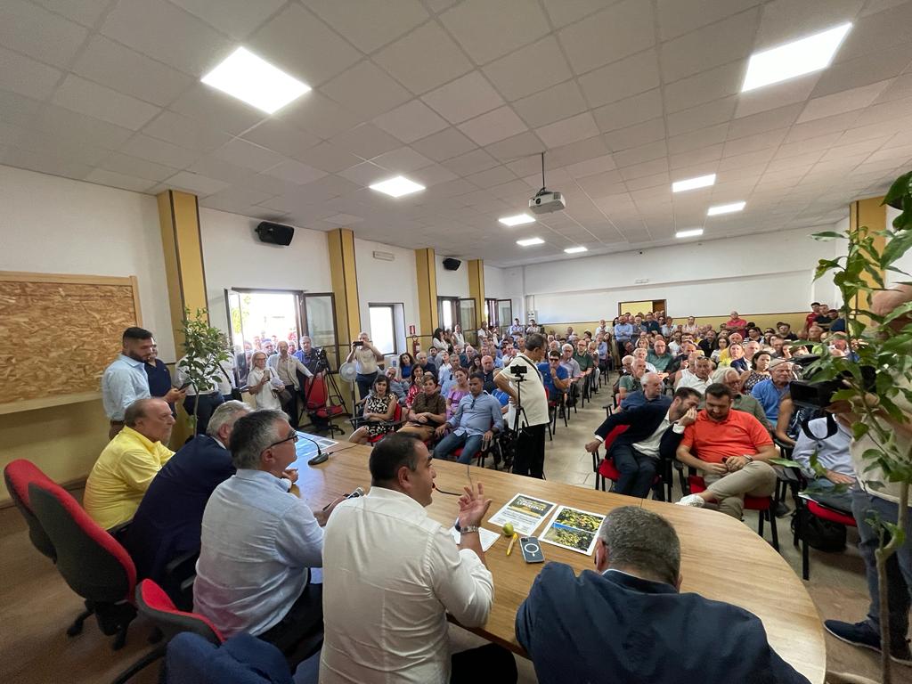 iniziativa bergamotto condofuri (1)