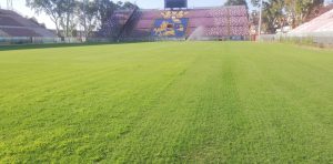 manto erboso stadio granillo
