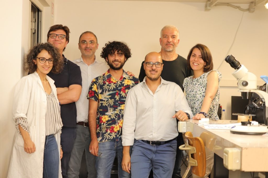 ricerca museo reggio