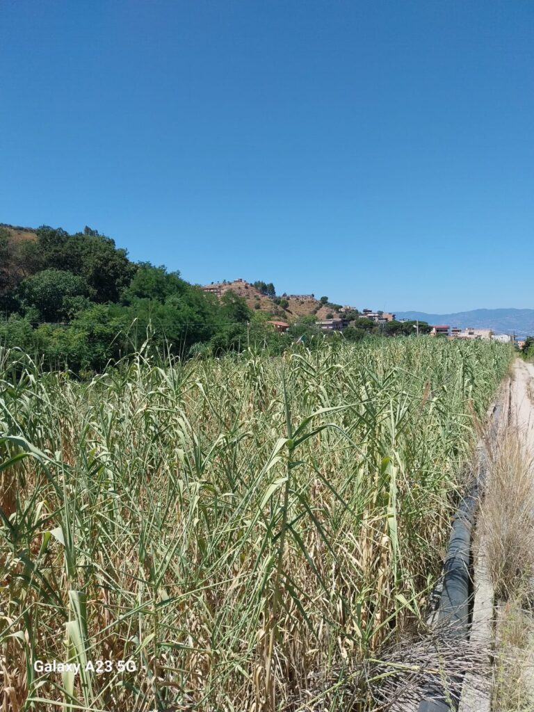Riparo vecchio Cannavò