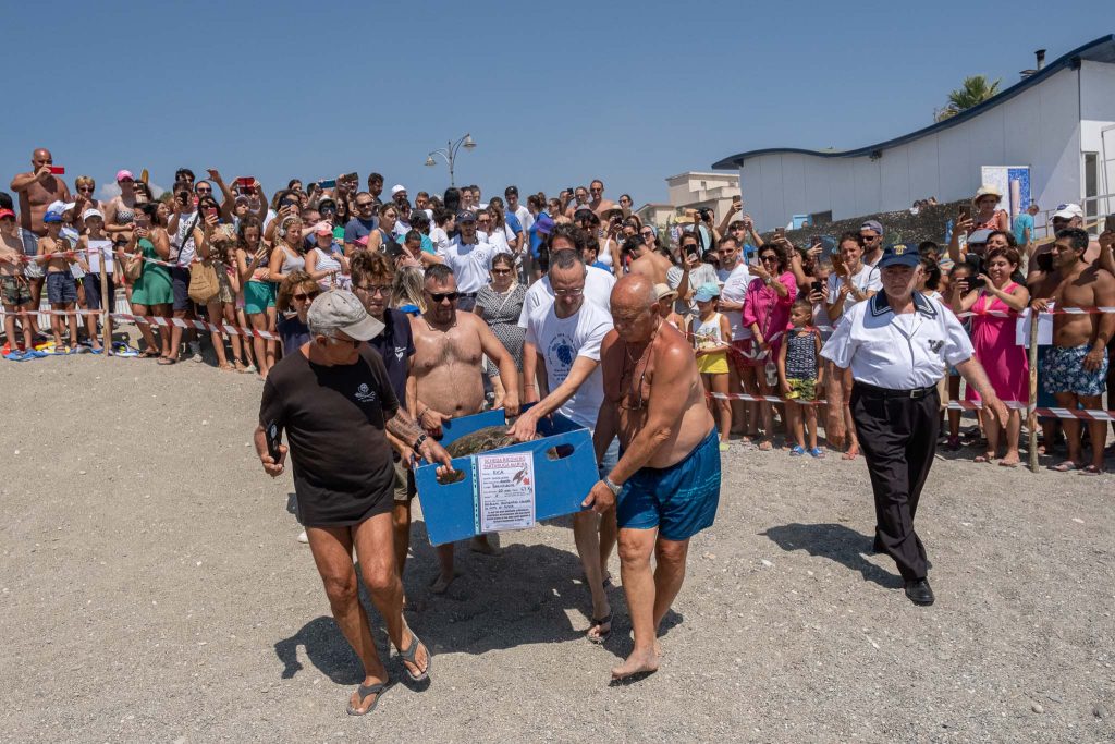 tartaruga Brancaleone