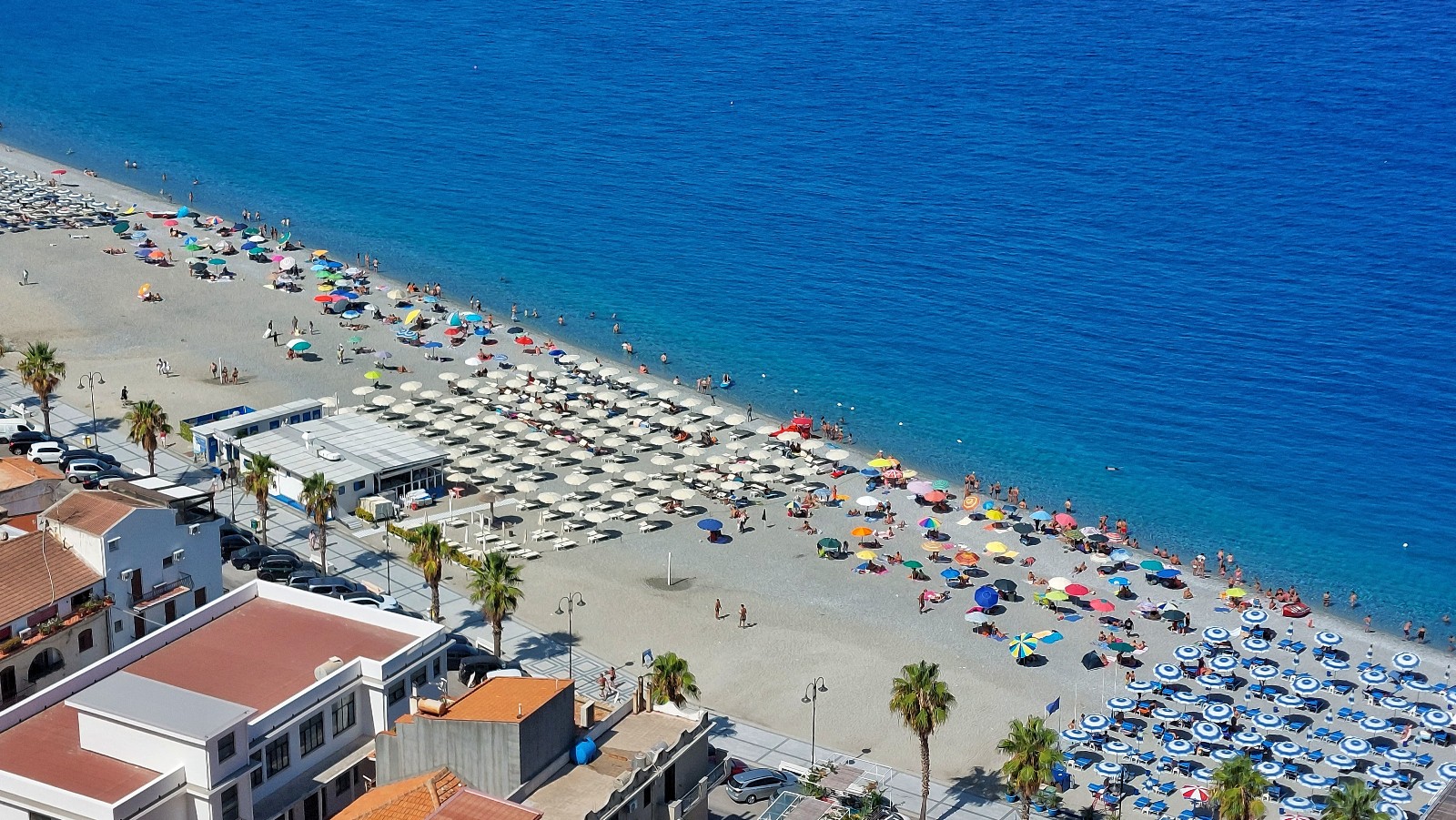 Scilla (2)