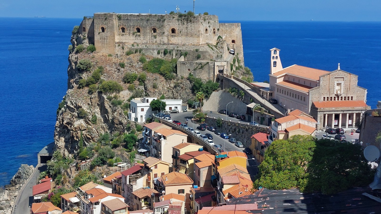 Scilla (4)