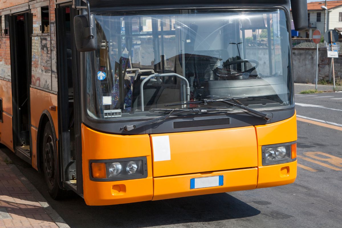 bus