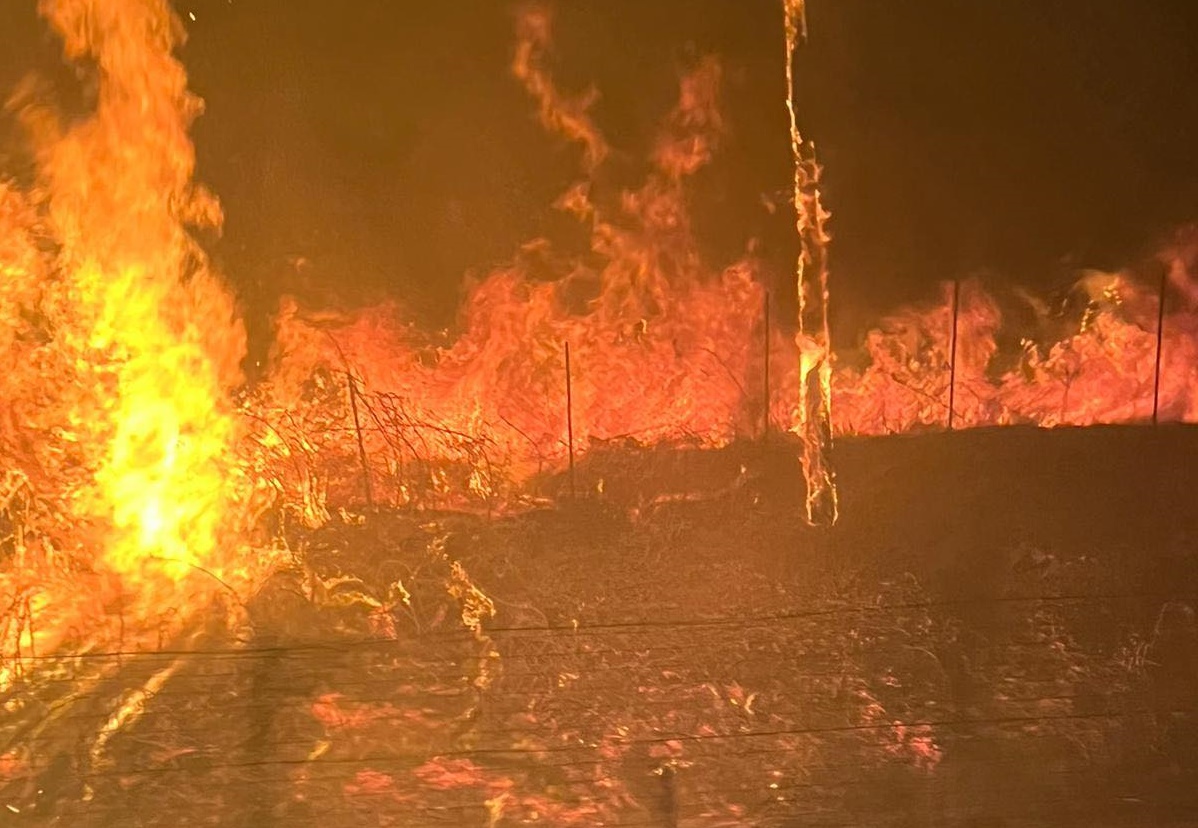 incendi sicilia