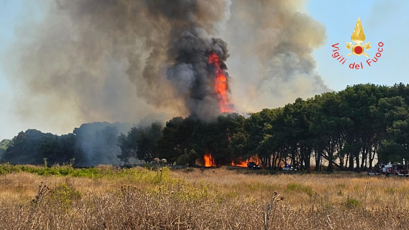 incendio calabria 1