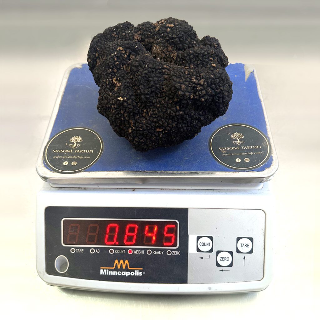 tartufo nero