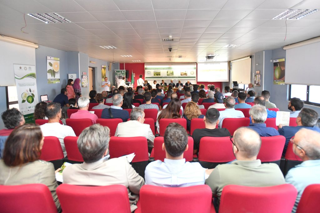 Agraria Convegno Kiwi