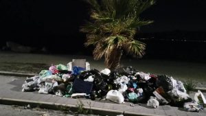 Immondizia Parco Lineare Sud