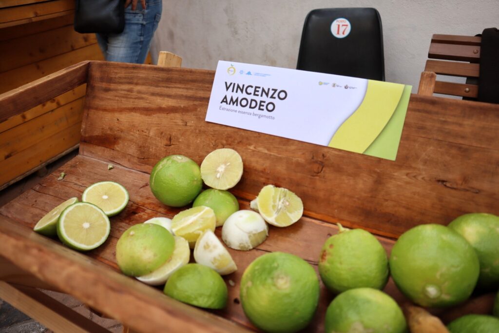 Vincenzo Amodeo
