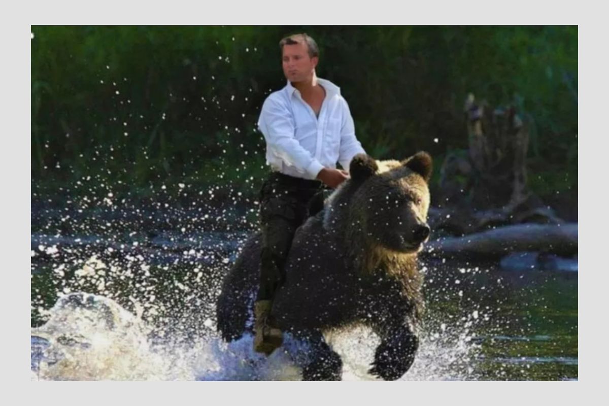 candidato trentino fotomontaggio orso