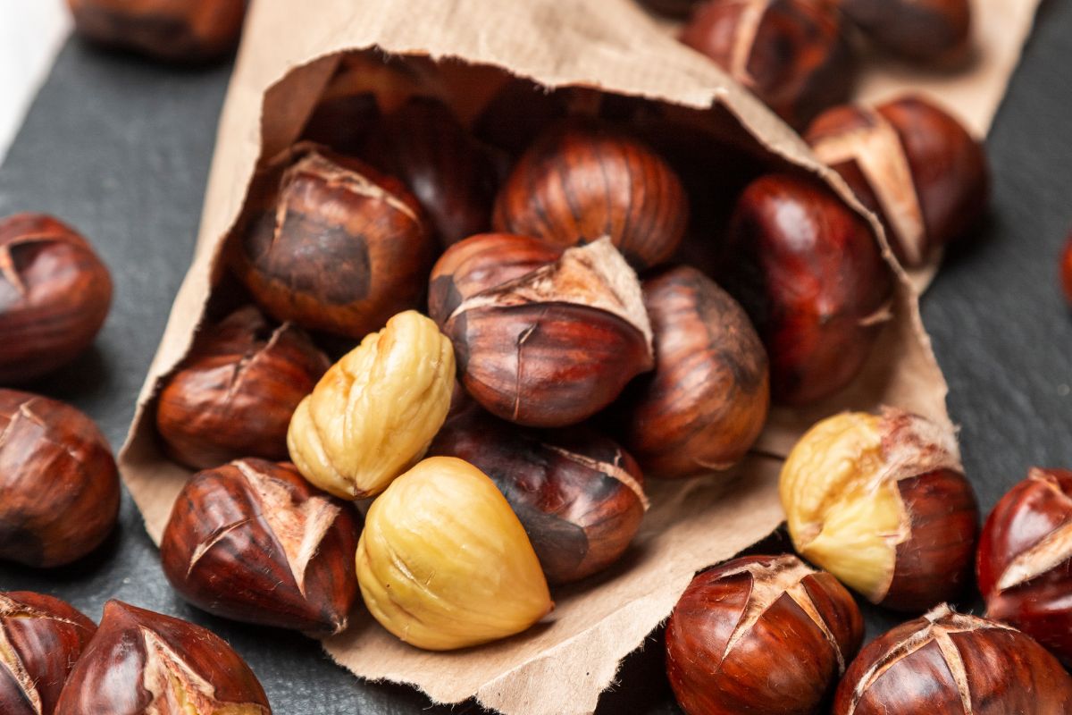 castagne
