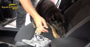 guardia di finanza messina cane trova droga