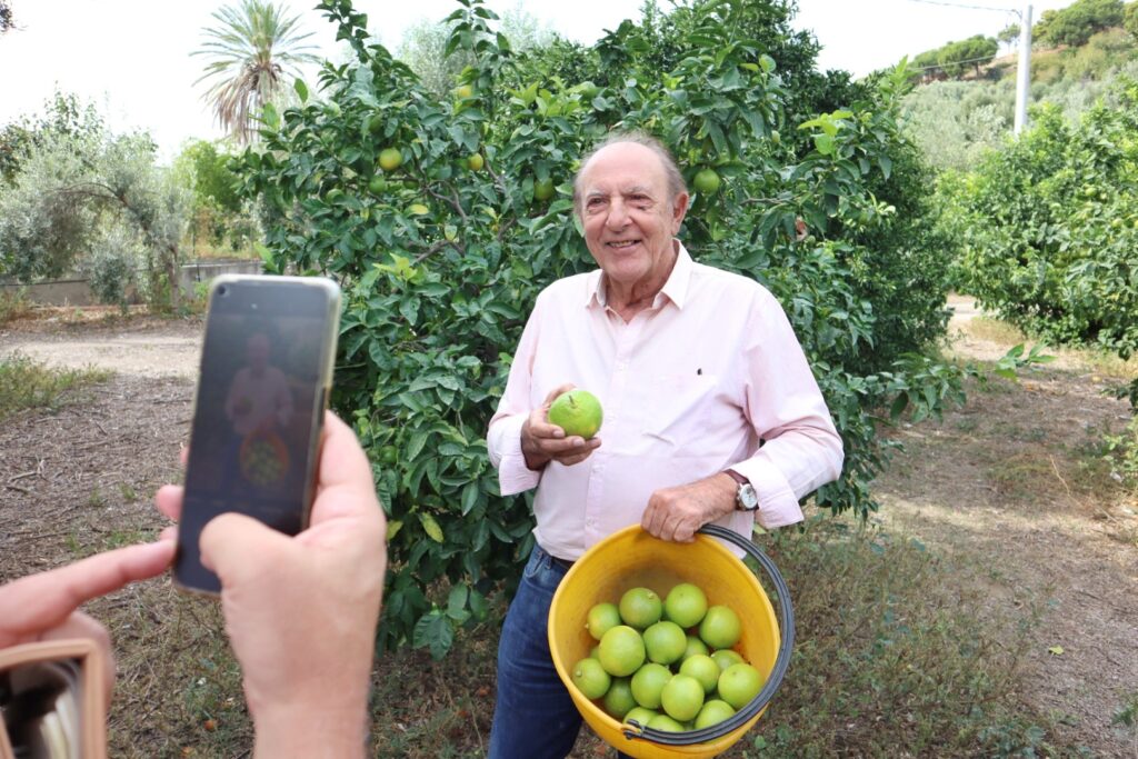 pizzi consorzio bergamotto reggio calabria