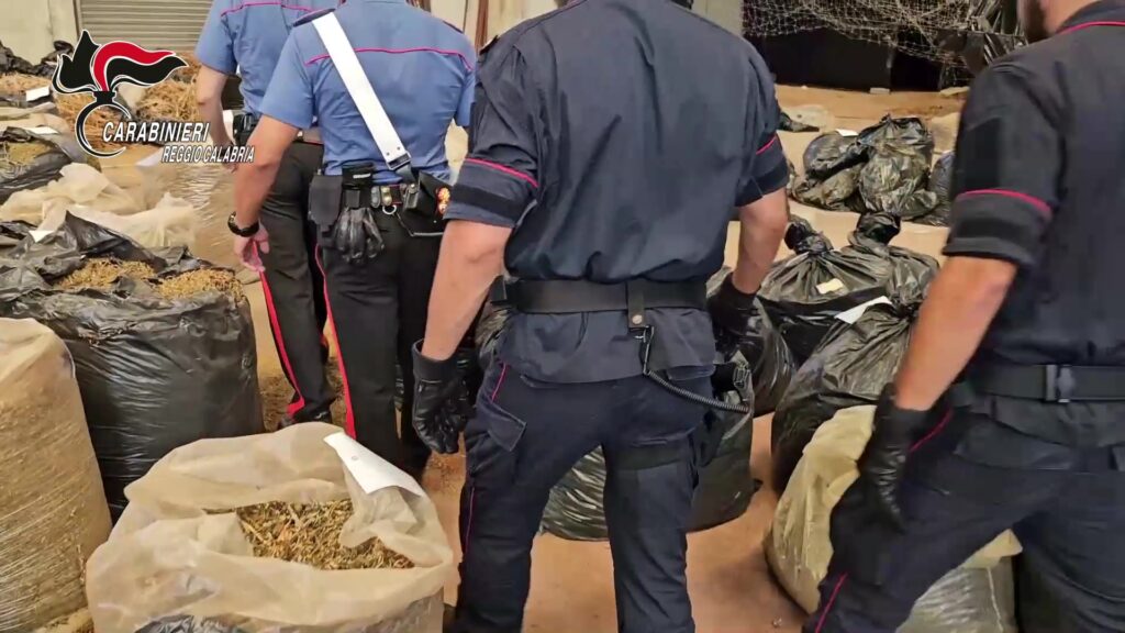 sequestro cannabis