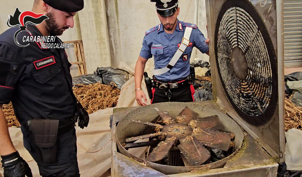 sequestro cannabis
