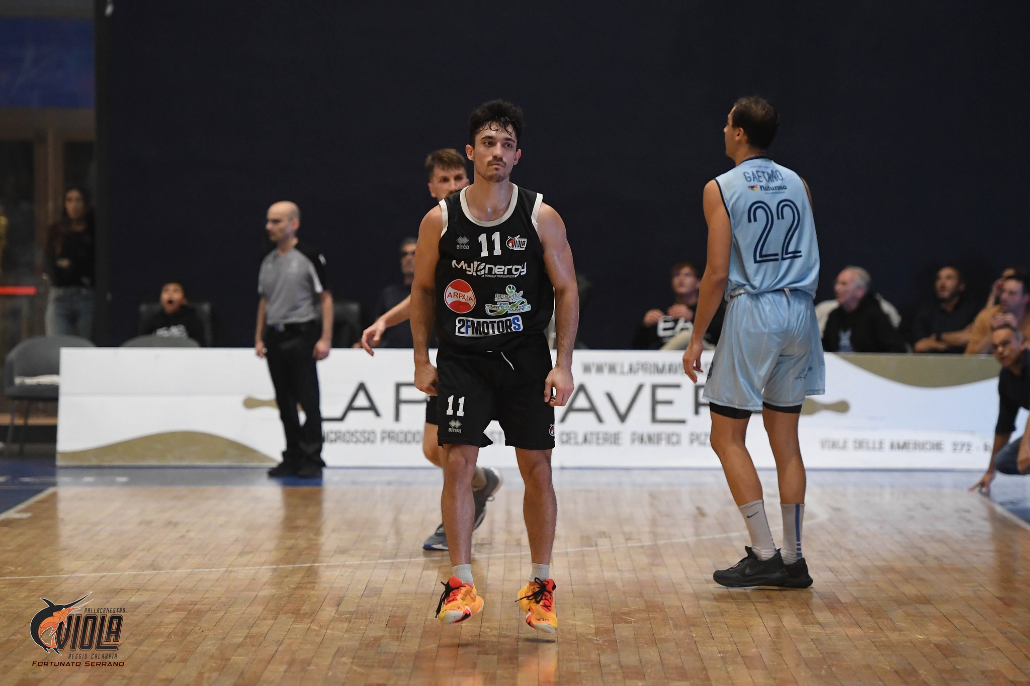 Mateja Maksimovic