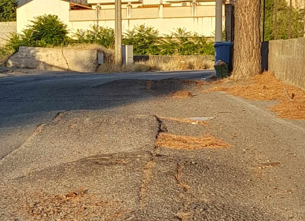 Radici alberi invadono asfalto Croce Valanidi Reggio Calabria