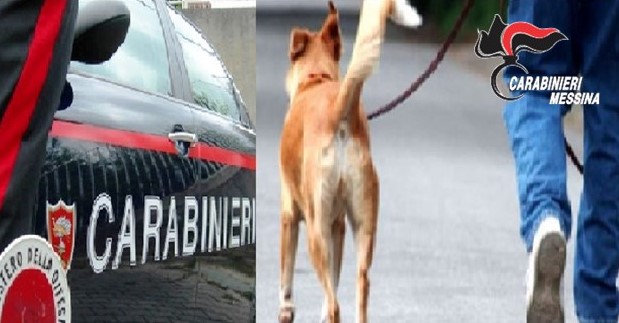 arresto evasione CC Taormina