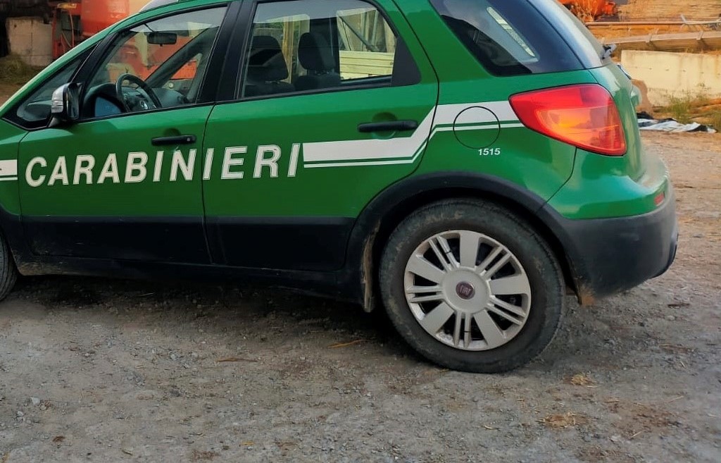 carabinieri forestali