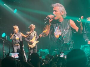 concerto ligabue reggio calabria