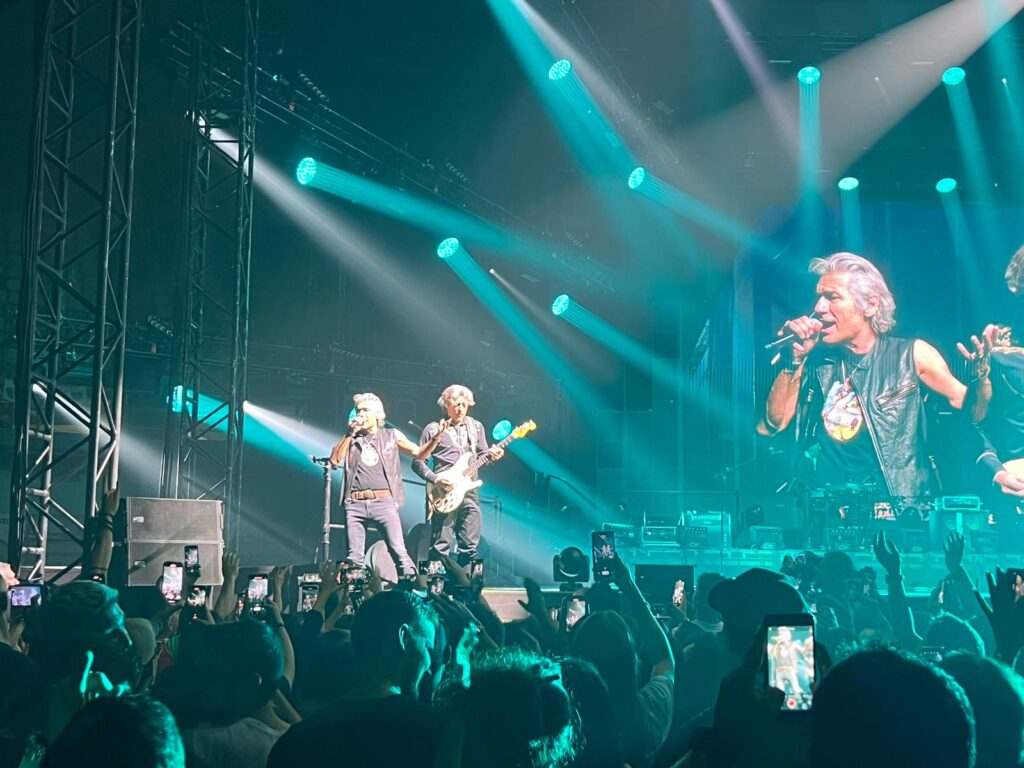 concerto ligabue reggio calabria