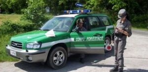 concorso forestali