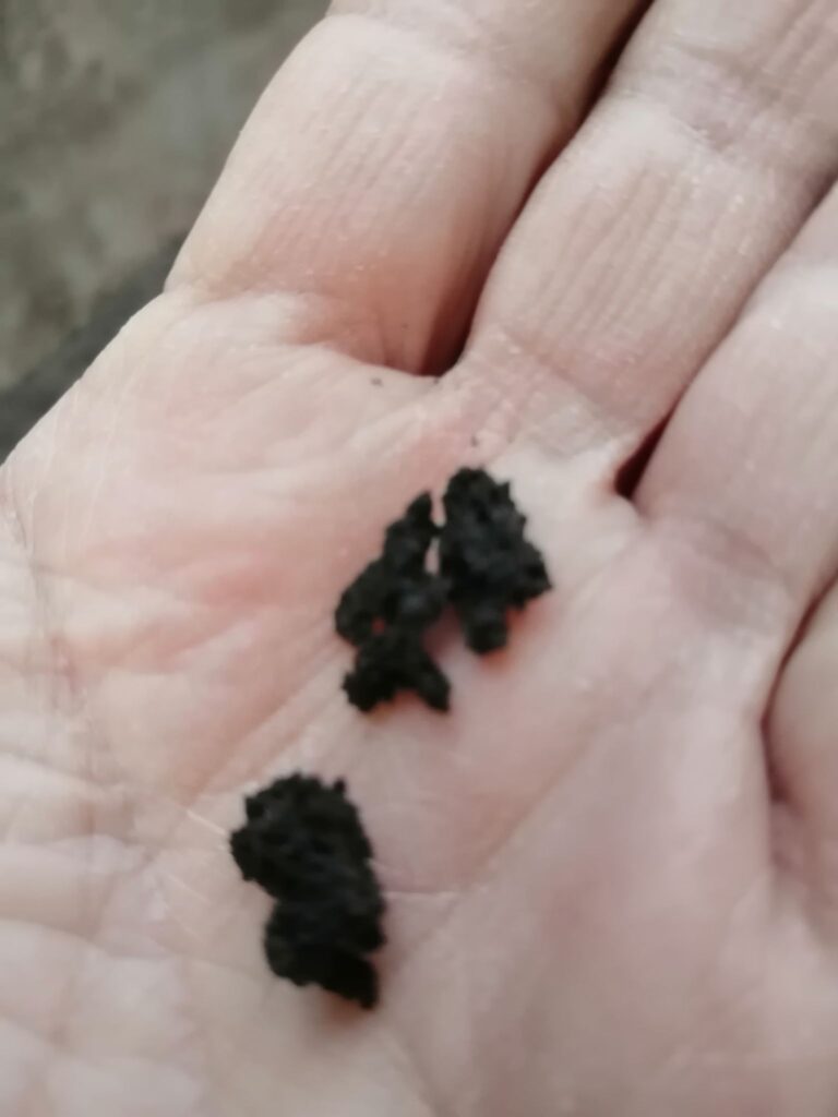eruzione etna