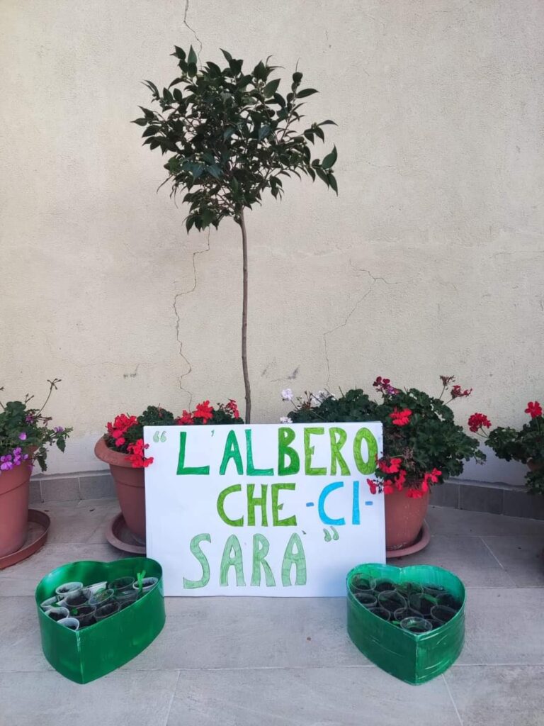 festa albero masella