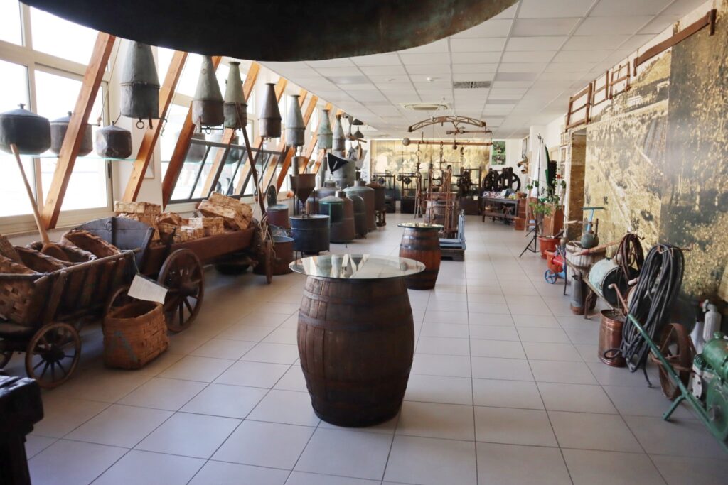 giornalismo agroalimentare museo del bergamotto