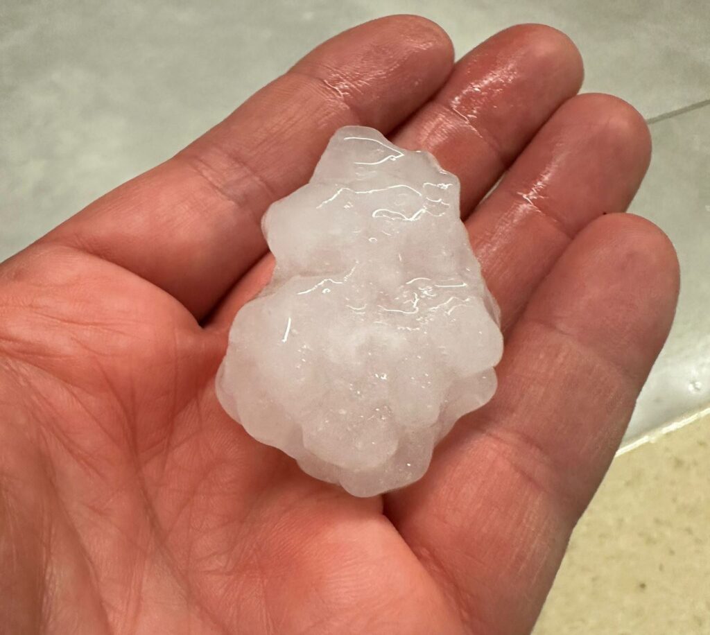 grandine roccella jonica