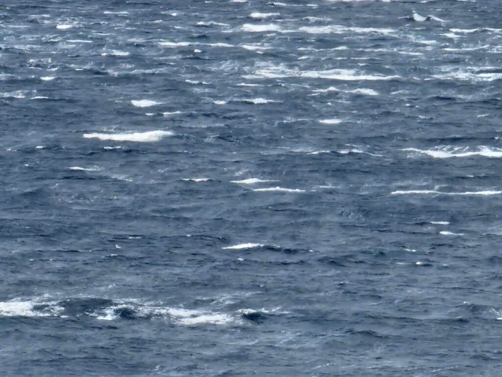 mare mosso