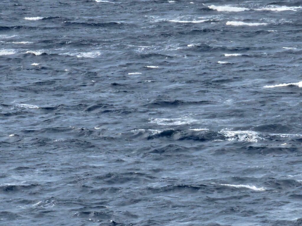 mare mosso