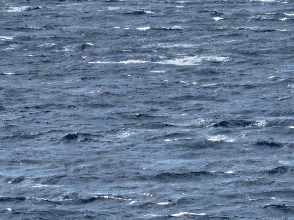 mare mosso