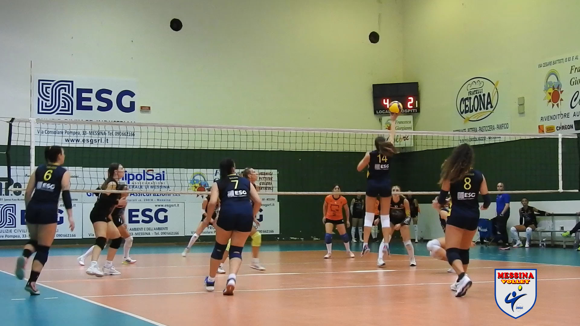 messina volley