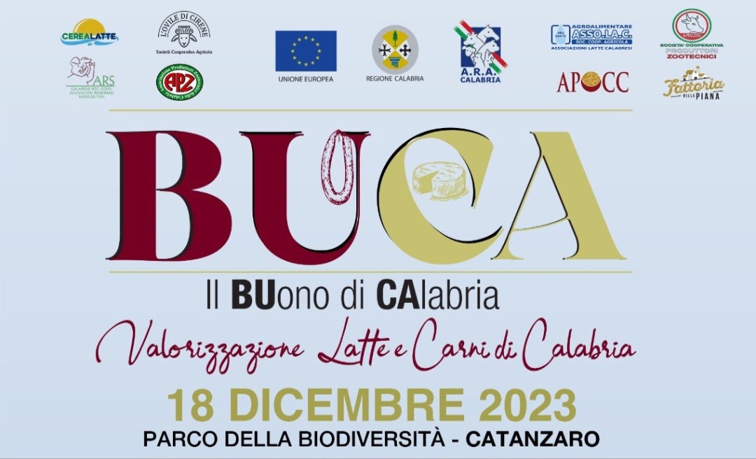 Buca buono di calabria