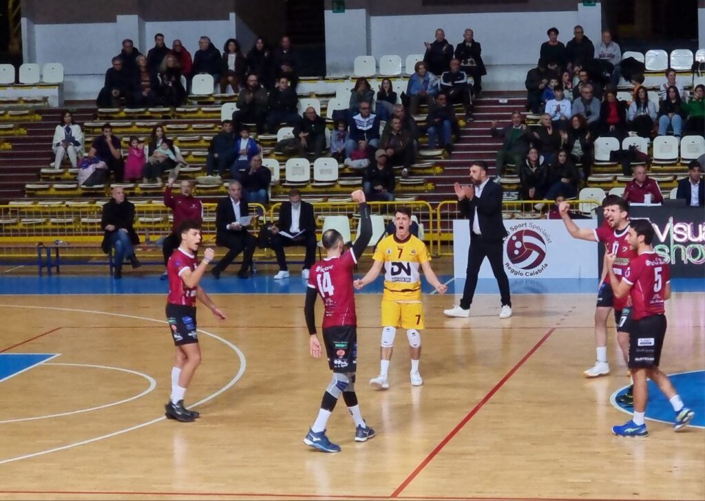 Domotek Volley