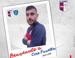 Vibonese