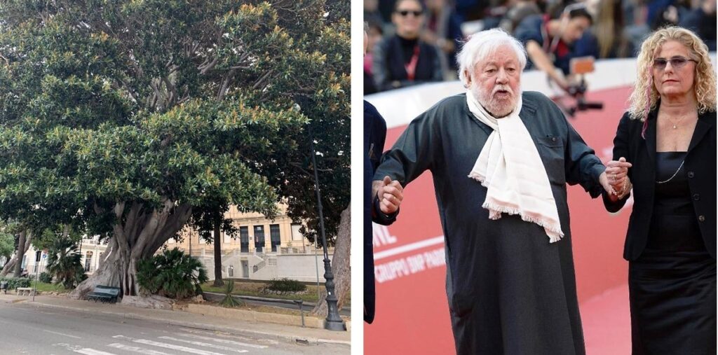 alberi secolari reggio calabria figlia paolo villaggio