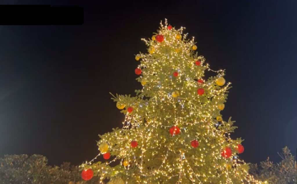 albero natale piazza unione europea