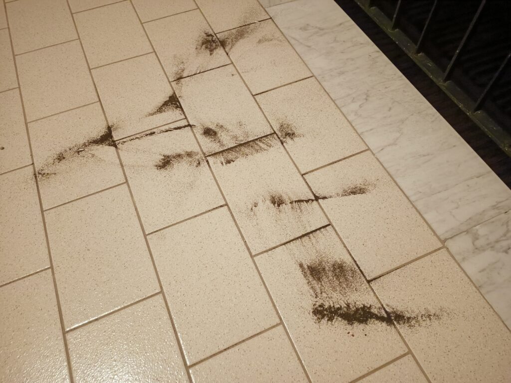 cenere etna a reggio calabria
