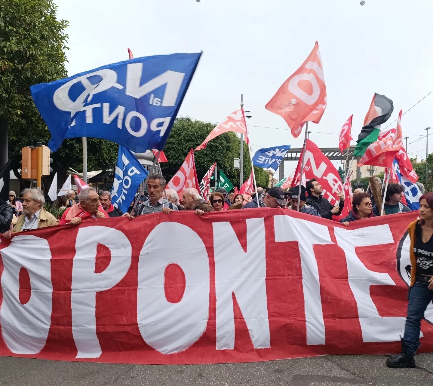 no ponte
