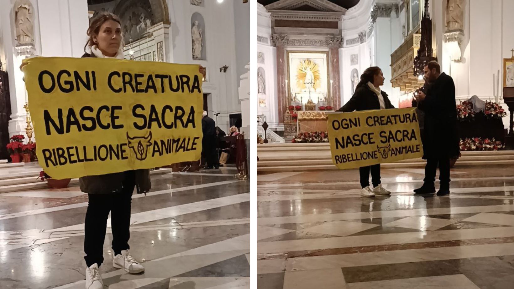 ribellione animale cattedrale palermo