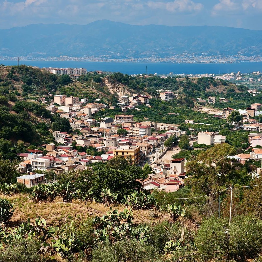 rosalì