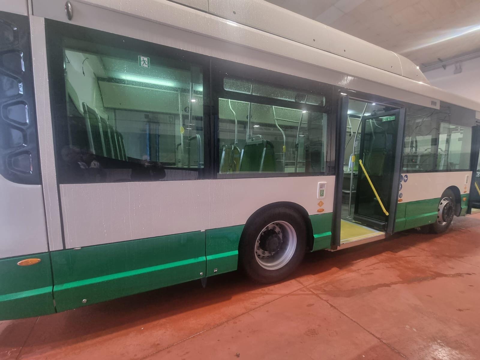 Autobus