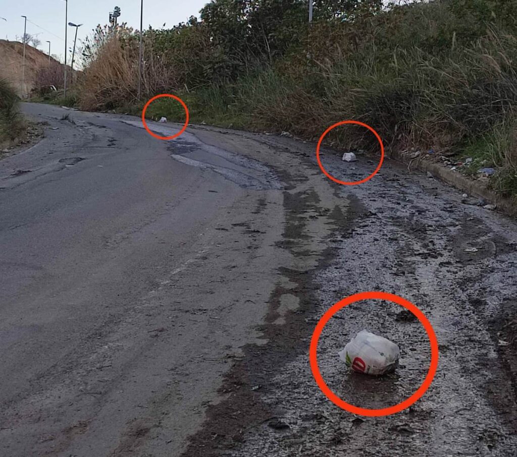Buste di immonidizia al Parco Longhi Bovetto dopo pulizia